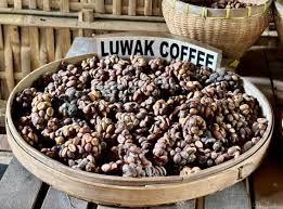 Kopi Luwak